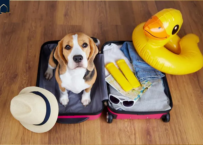 Tema 8 Апартаменты