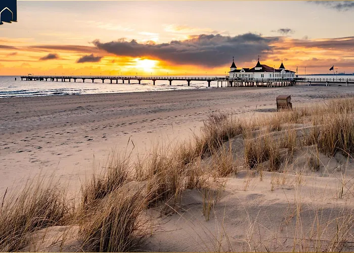 Tema 8 Херингсдорф